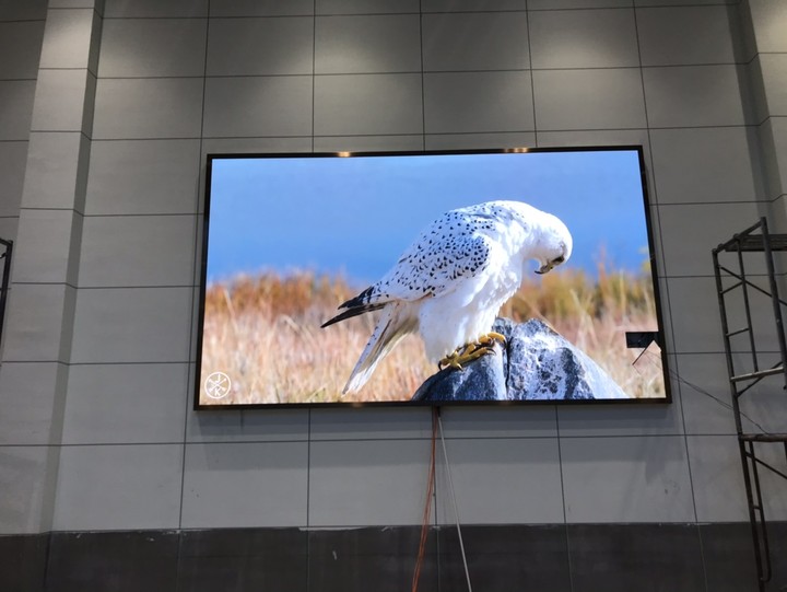 英山茶仙，P2.5,11.46平方