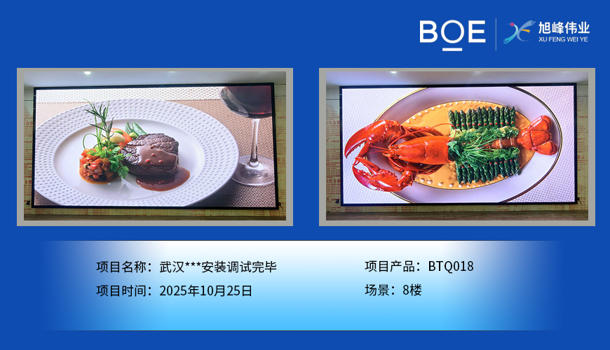 武漢***安裝調(diào)試完畢